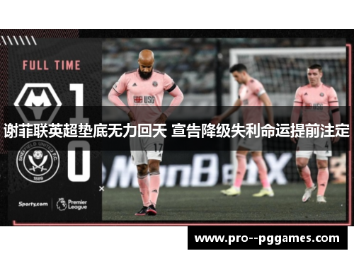 谢菲联英超垫底无力回天 宣告降级失利命运提前注定