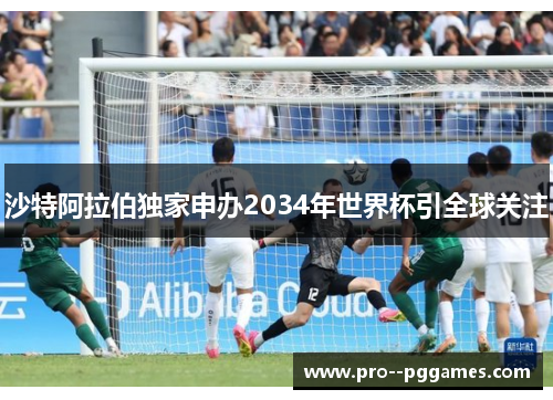沙特阿拉伯独家申办2034年世界杯引全球关注