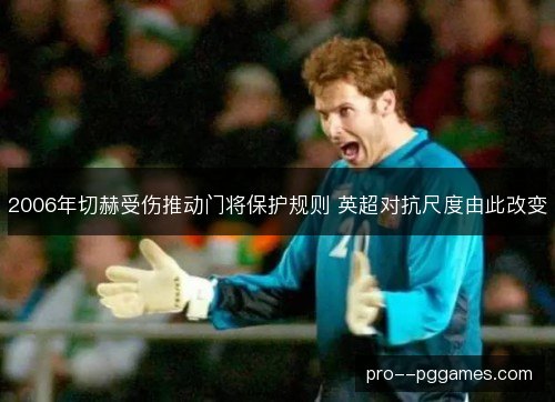 2006年切赫受伤推动门将保护规则 英超对抗尺度由此改变 2006年切赫受伤推动门将保护规则 英超对抗尺度由此改变